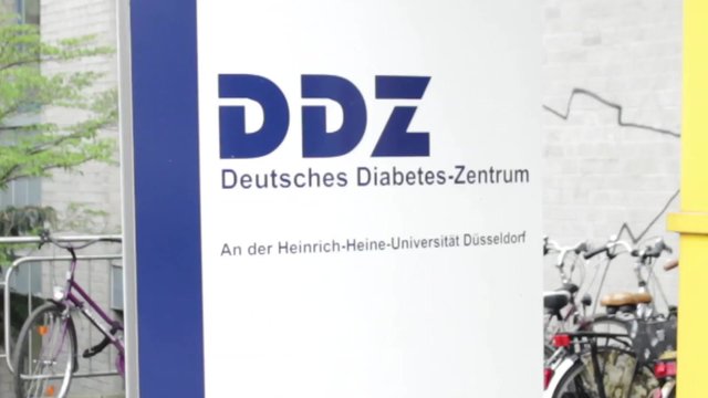 Der Diabetes Informations-Tag im DDZ Düsseldorf 2014