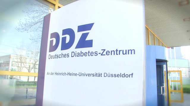 50 Jahre Deutsches Diabetes-Zentrum Düsseldorf (DDZ)