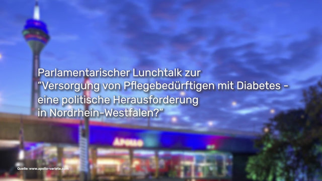 Read more about the article Parlamentarischer Lunchtalk – 30. Weltdiabetestag 2021