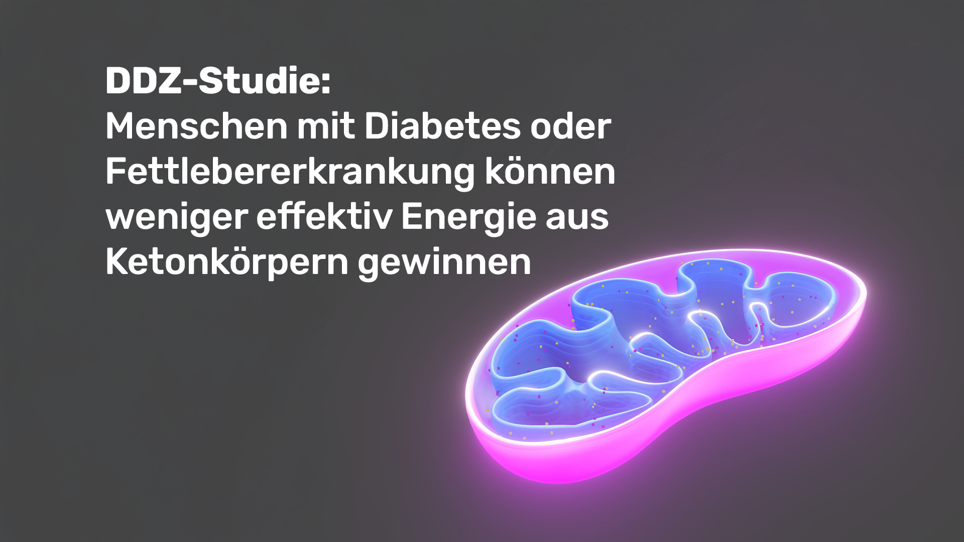 Mehr über den Artikel erfahren DDZ-Studie: Menschen mit Diabetes oder Fettlebererkrankung können weniger effektiv Energie aus Ketonkörpern gewinnen