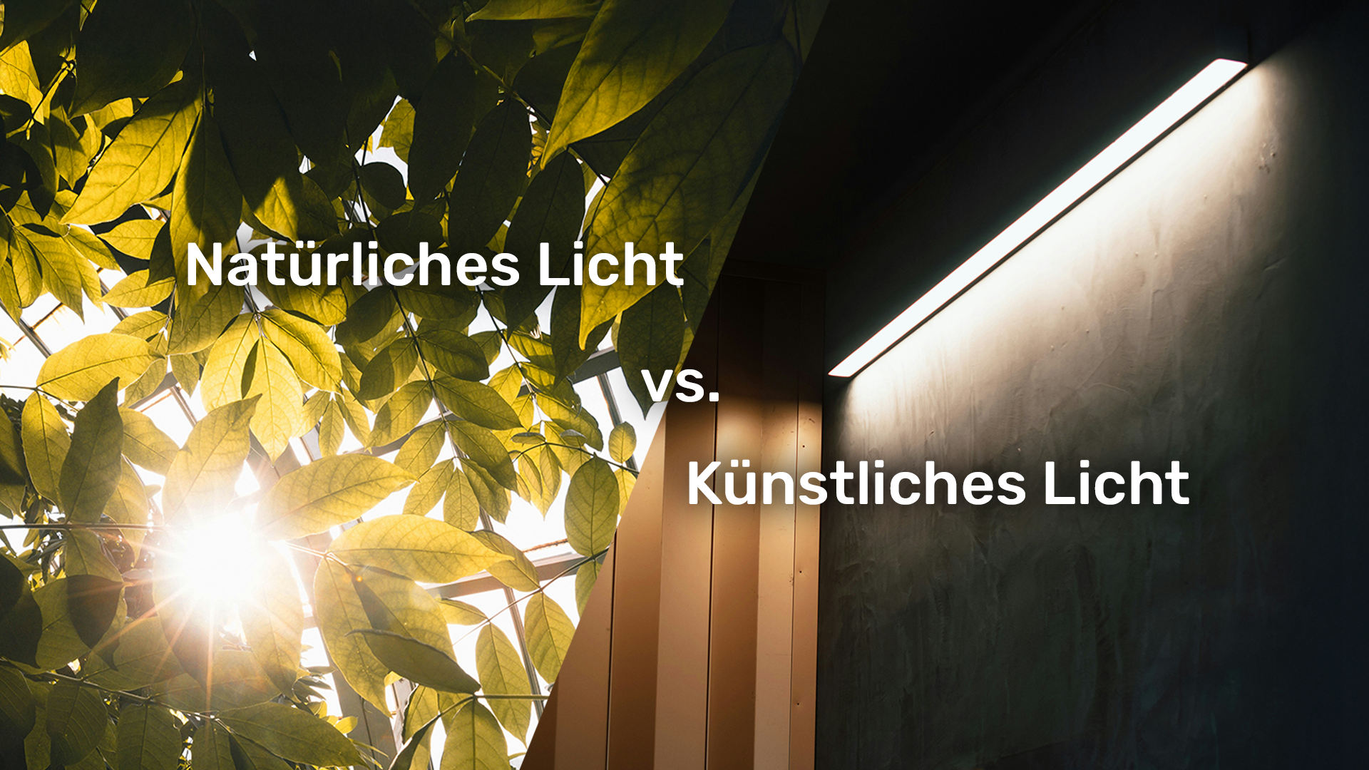 Mehr über den Artikel erfahren Natürliches Licht vs. künstliches Licht – Eine Beeinflussung des Stoffwechsels