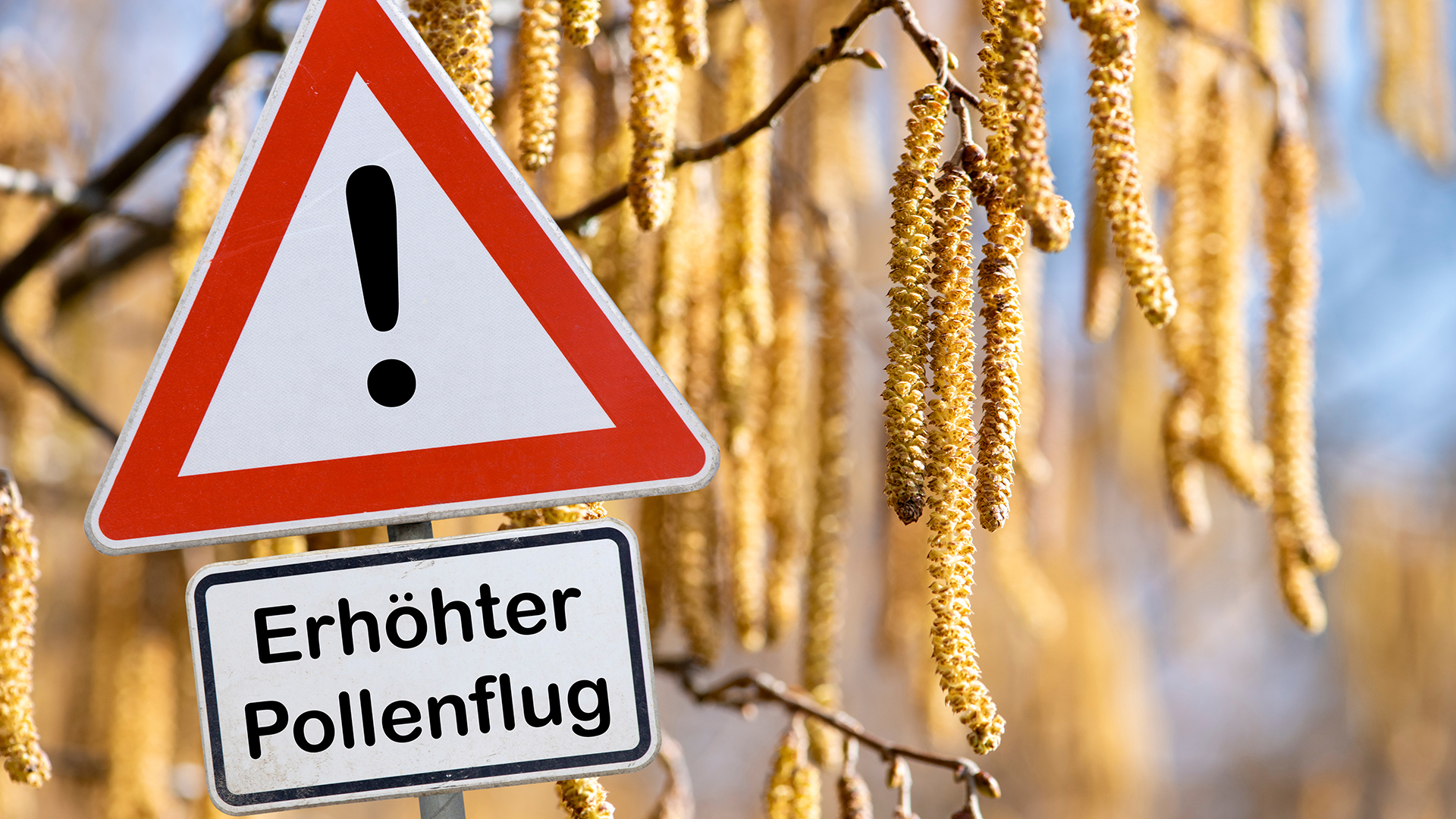 Mehr über den Artikel erfahren Heuschnupfen beeinflusst den Blutzucker